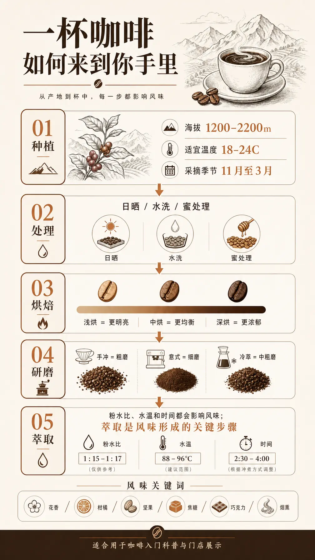 信息图 咖啡从种植到萃取